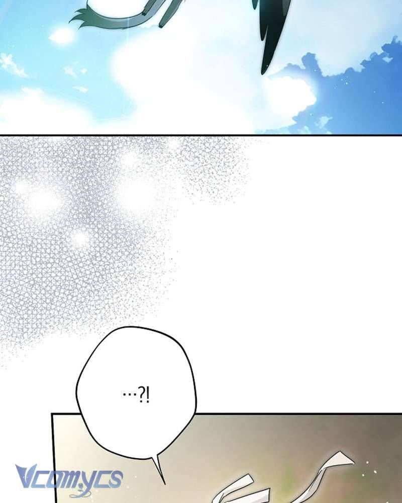 Các Nam Chính Đã Bị Nữ Phụ Cướp Mất Chap 60 - Next Chap 61