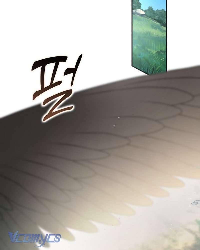 Các Nam Chính Đã Bị Nữ Phụ Cướp Mất Chap 60 - Next Chap 61