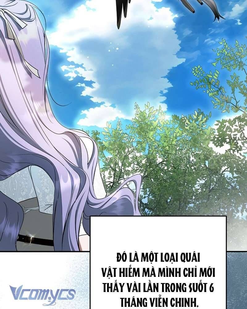 Các Nam Chính Đã Bị Nữ Phụ Cướp Mất Chap 60 - Next Chap 61