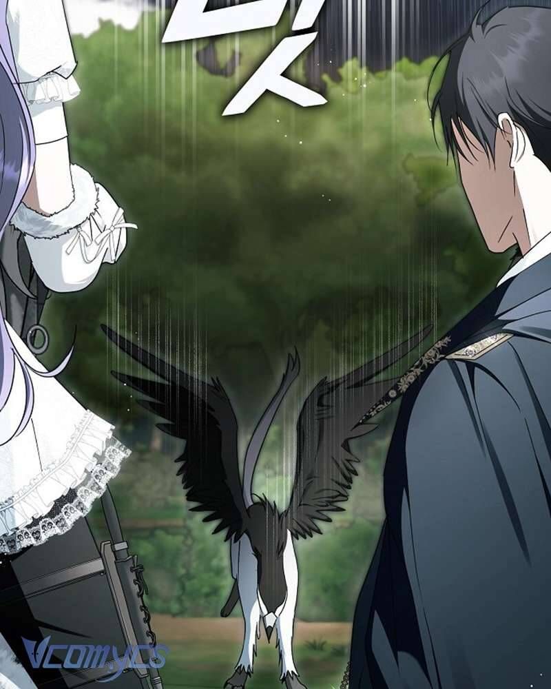 Các Nam Chính Đã Bị Nữ Phụ Cướp Mất Chap 60 - Next Chap 61