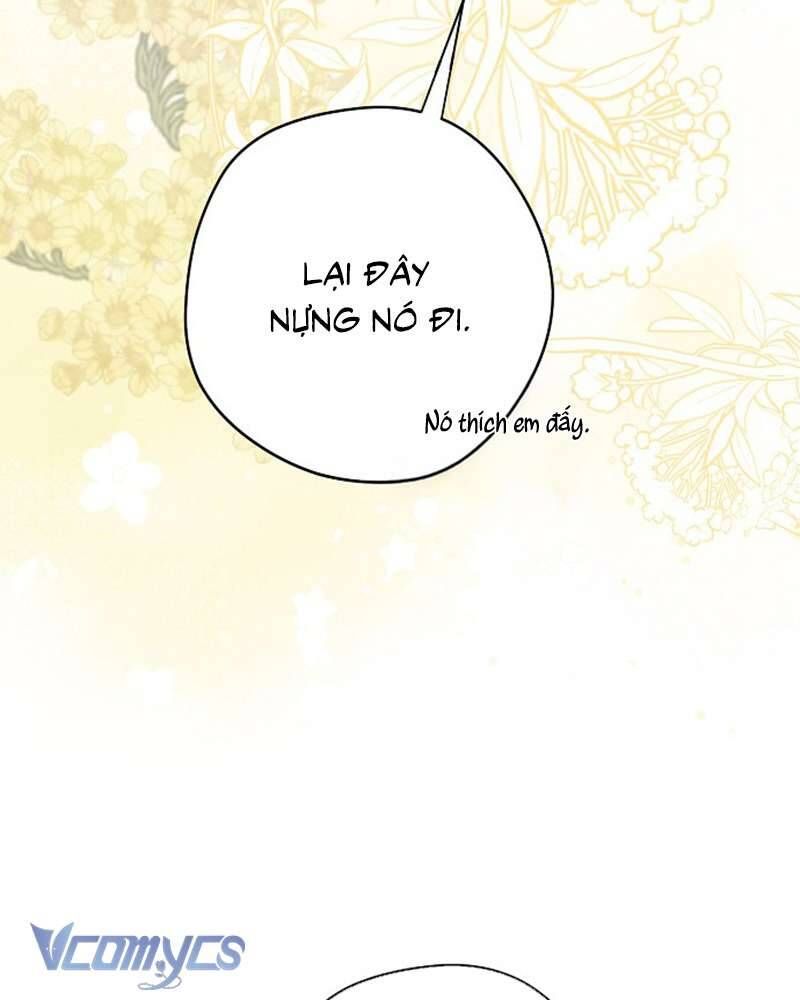 Các Nam Chính Đã Bị Nữ Phụ Cướp Mất Chap 60 - Next Chap 61