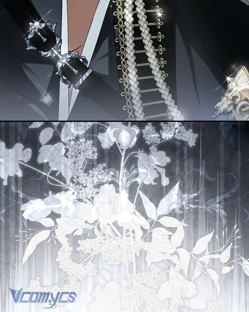 Các Nam Chính Đã Bị Nữ Phụ Cướp Mất Chap 61 - Next Chap 62