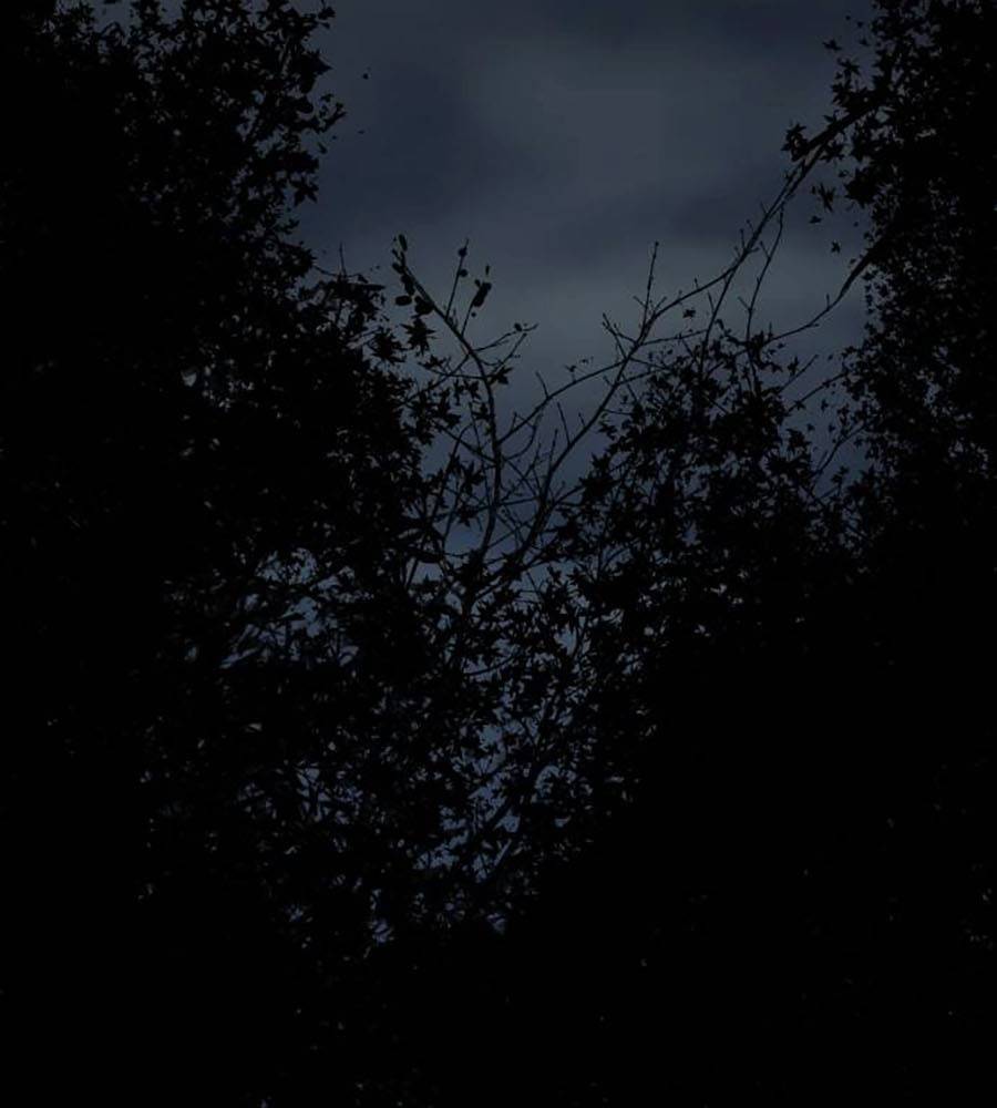 Càn Khôn Bất Dị Ký Chap 2 - Next Chap 3