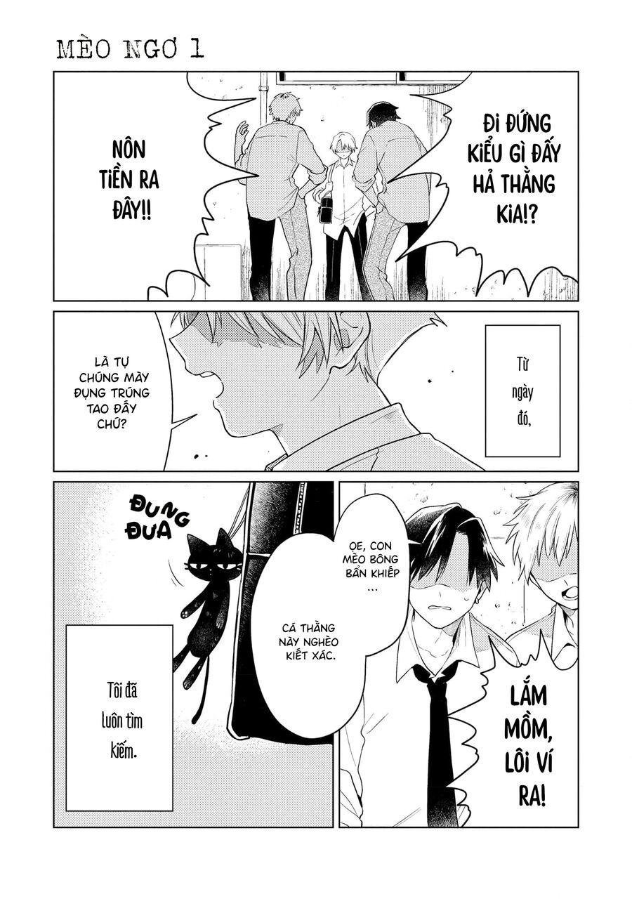 Cậu Đấu Gấu Và Chú Bông Xù Chap 1 - Next Chap 2