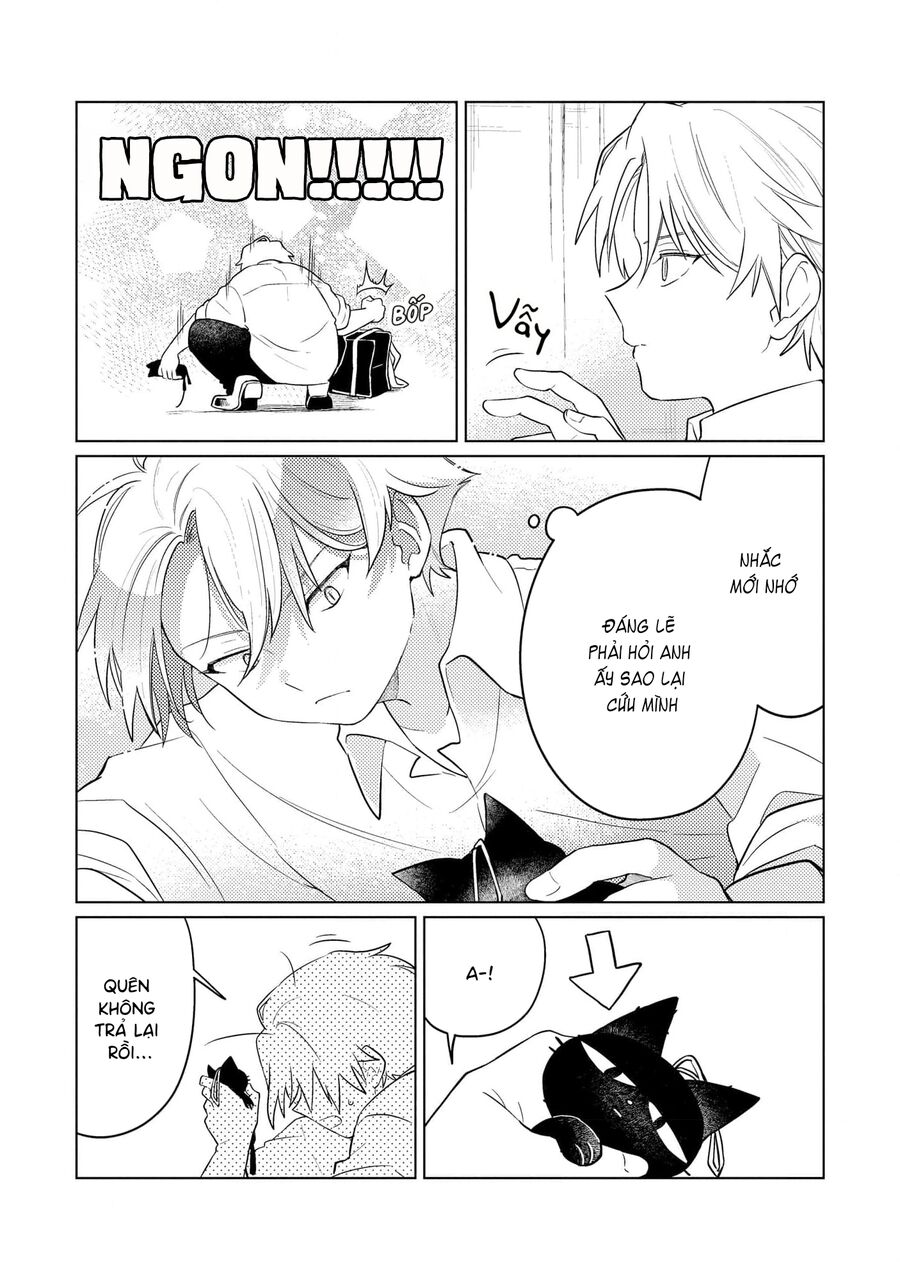 Cậu Đấu Gấu Và Chú Bông Xù Chap 1 - Next Chap 2