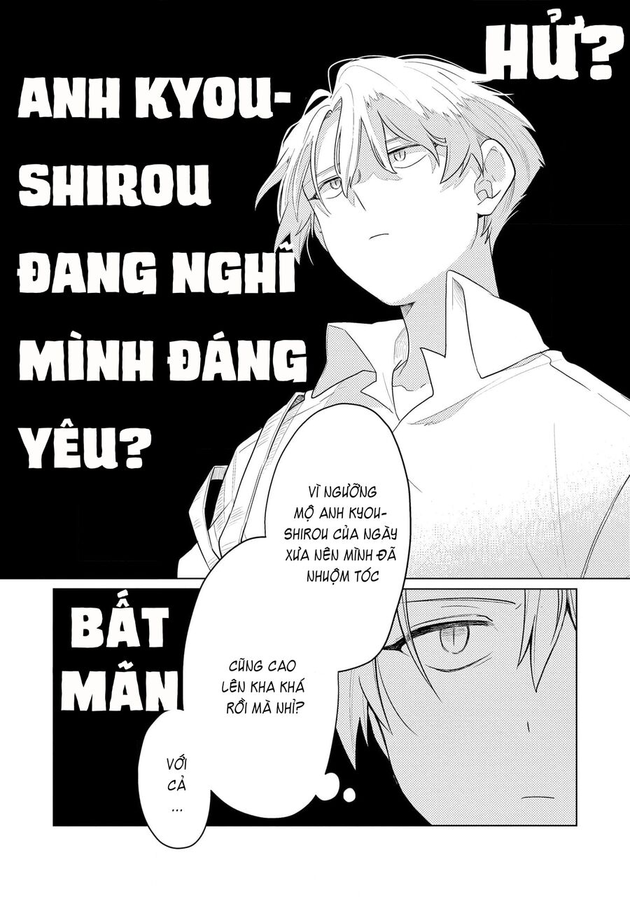 Cậu Đấu Gấu Và Chú Bông Xù Chap 2 - Next Chap 3