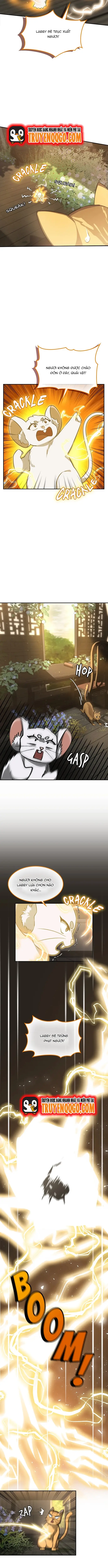 Chân Lý Tu Tiên Chap 15 - Next Chap 16