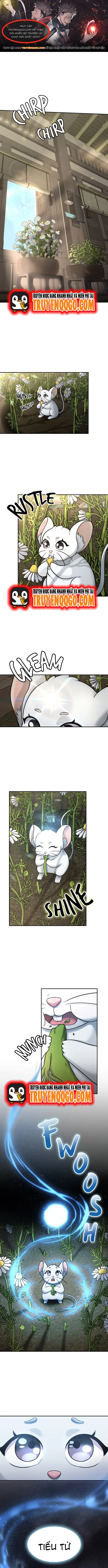 Chân Lý Tu Tiên Chap 7 - Next Chap 8