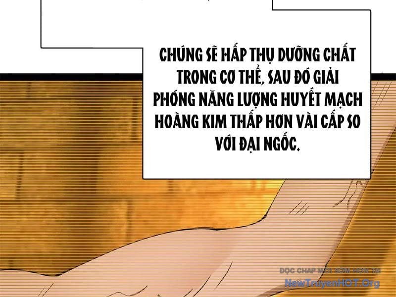 Chàng Rể Mạnh Nhất Lịch Sử Chap 325 - Next Chap 326