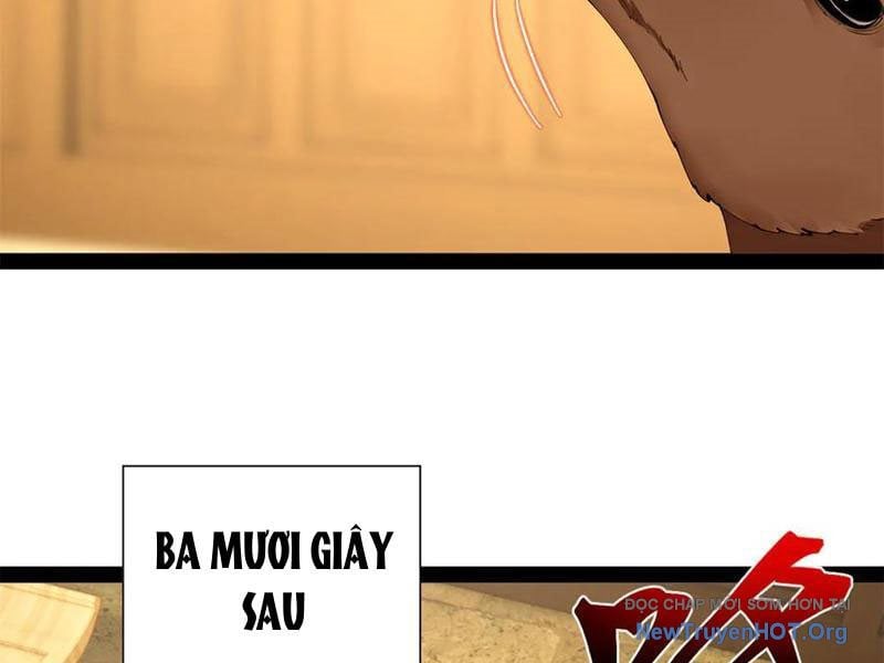 Chàng Rể Mạnh Nhất Lịch Sử Chap 325 - Next Chap 326