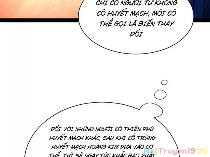 Chàng Rể Mạnh Nhất Lịch Sử Chap 339 - Next Chap 340