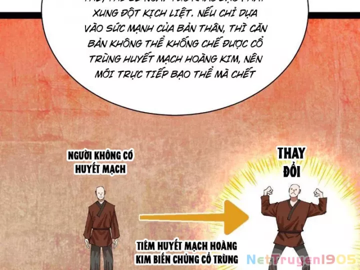 Chàng Rể Mạnh Nhất Lịch Sử Chap 339 - Next Chap 340