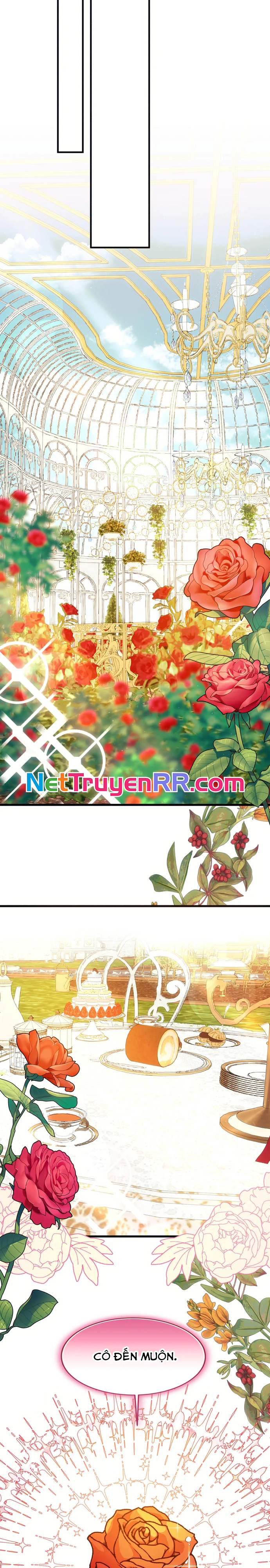 Chị Ấy Là Nữ Chính Trong Truyện Đó Chap 62 - Next Chap 63