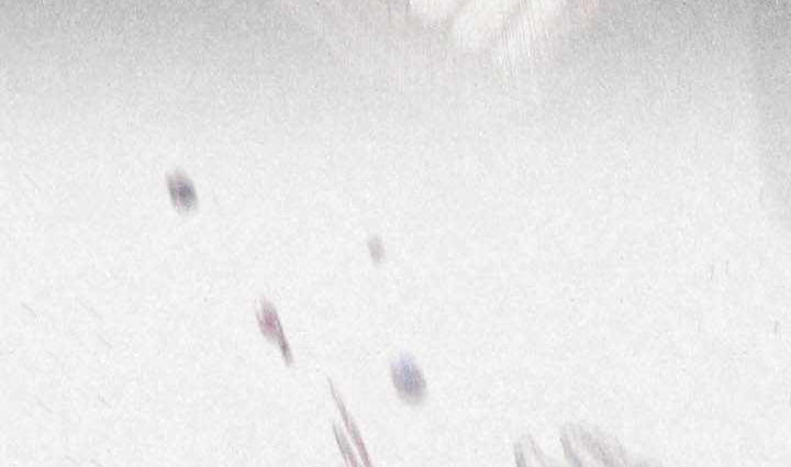 Chỉ Mình Ta Hồi Sinh Chap 71 - Next Chap 72