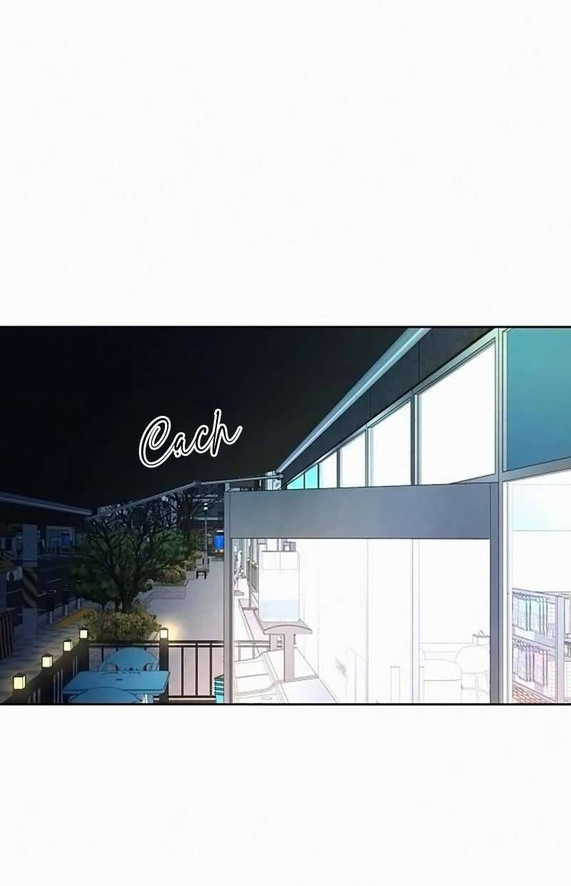 Chiến Lược: Tình Yêu Trong Sáng Chap 114 - Next Chap 115