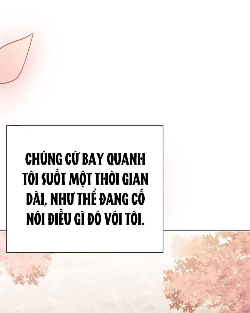 Chính Trị Gia Nhìn Thấu Vận Mệnh Chap 1 - Next Chap 2