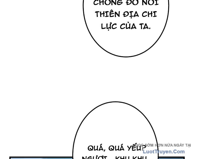 Chưởng Môn Khiêm Tốn Chút Chap 562 - Next Chap 563