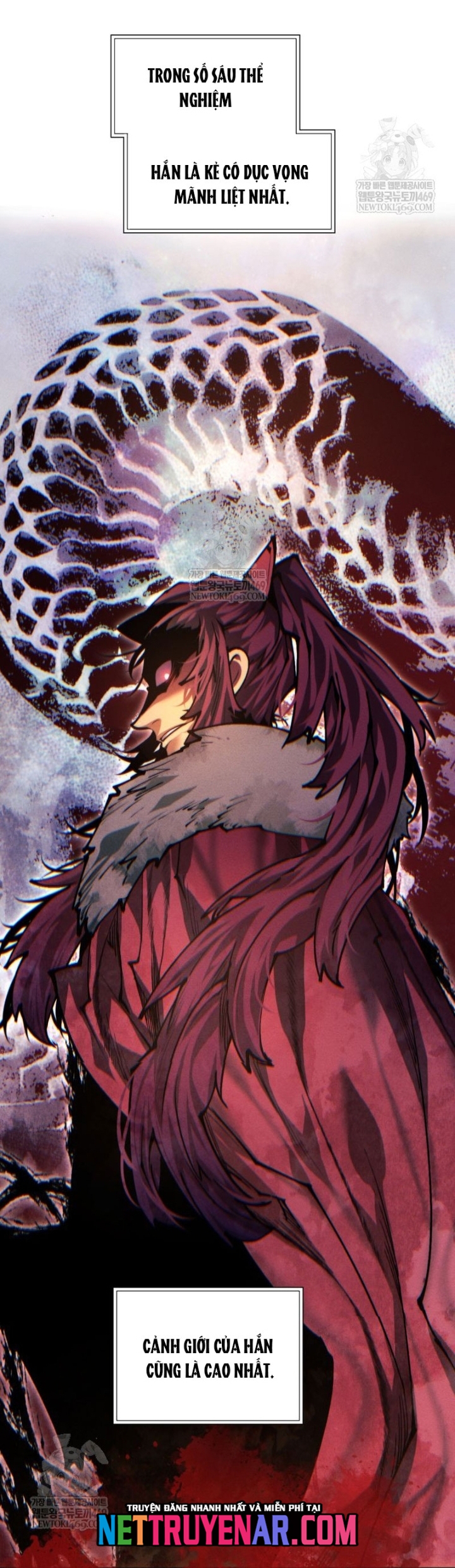 Chuyển Sinh Vào Thế Giới Võ Lâm Chap 155 - Next Chap 156