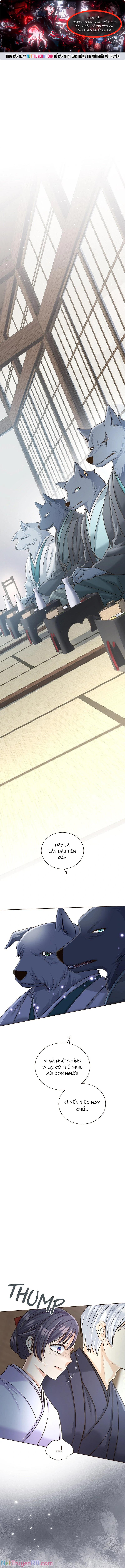 Cô Dâu Của Sói Trắng Chap 59 - Next Chap 60