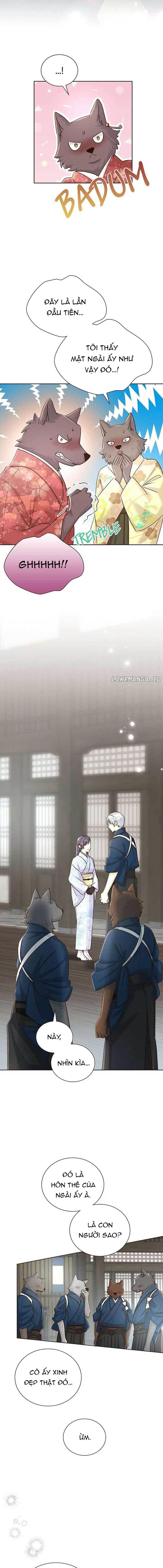Cô Dâu Của Sói Trắng Chap 61 - Next Chap 62