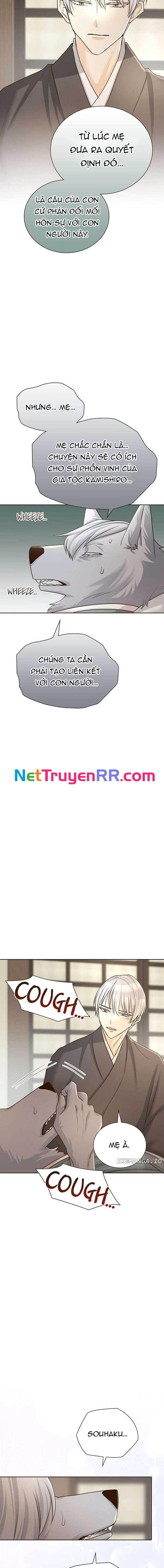 Cô Dâu Của Sói Trắng Chap 61 - Next Chap 62