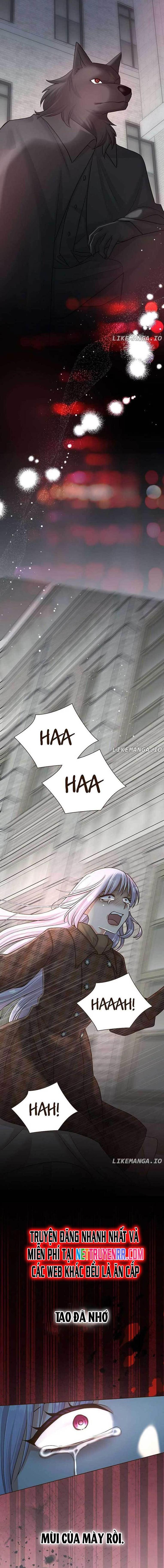 Cô Dâu Của Sói Trắng Chap 61 - Next Chap 62