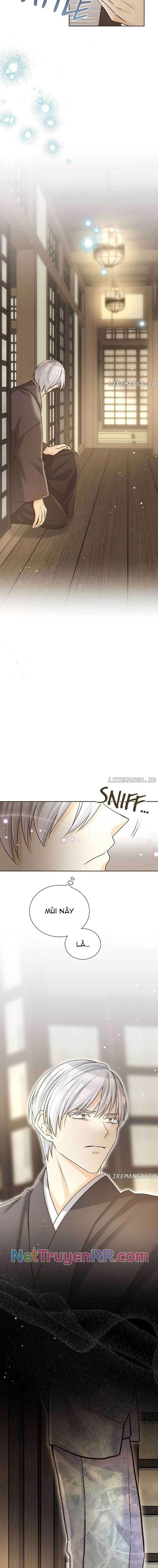 Cô Dâu Của Sói Trắng Chap 62 - Next Chap 63