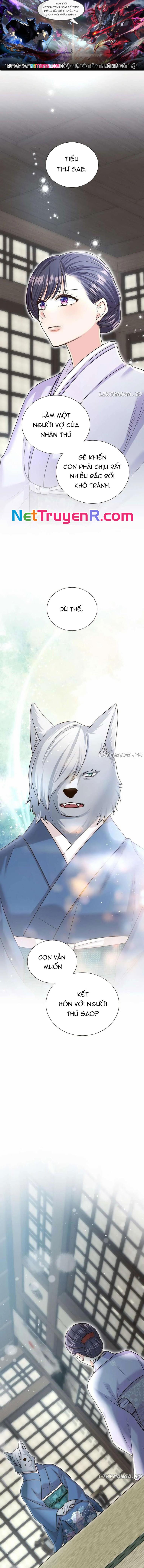 Cô Dâu Của Sói Trắng Chap 66 - Next Chap 67