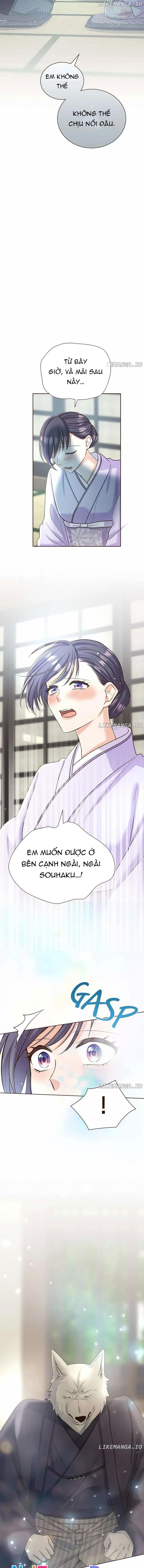 Cô Dâu Của Sói Trắng Chap 66 - Next Chap 67