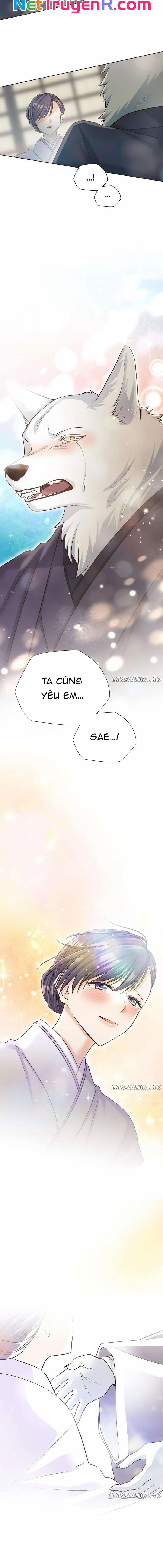Cô Dâu Của Sói Trắng Chap 66 - Next Chap 67