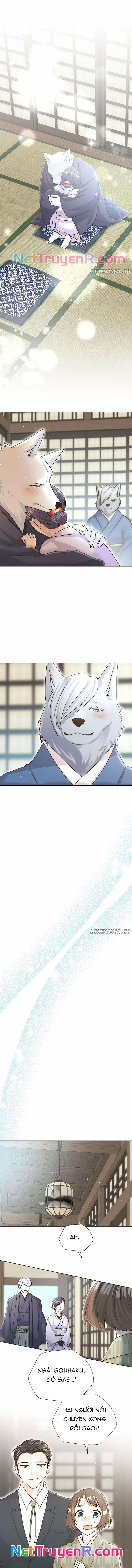 Cô Dâu Của Sói Trắng Chap 66 - Next Chap 67