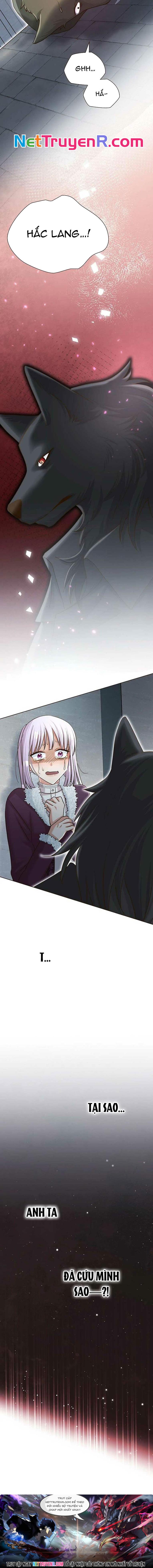 Cô Dâu Của Sói Trắng Chap 67 - Next Chap 68