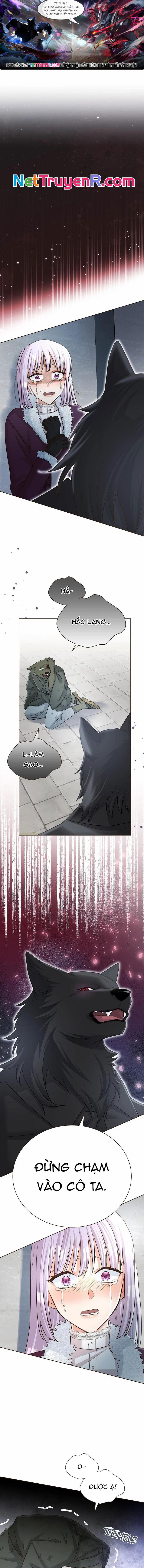 Cô Dâu Của Sói Trắng Chap 68 - Next Chap 69