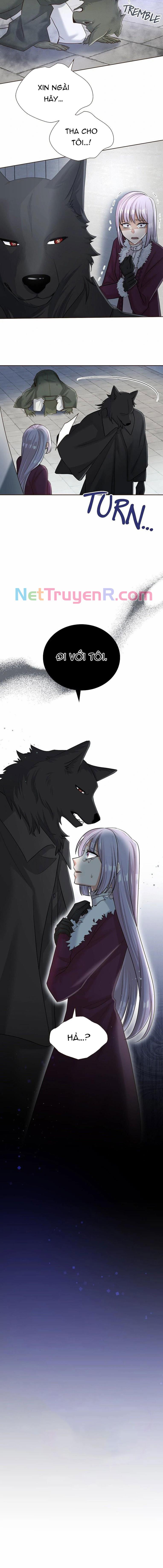 Cô Dâu Của Sói Trắng Chap 68 - Next Chap 69
