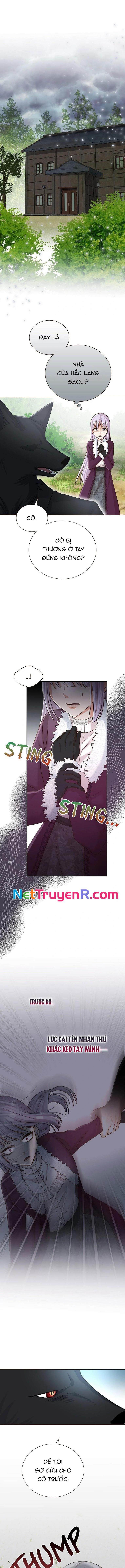 Cô Dâu Của Sói Trắng Chap 68 - Next Chap 69
