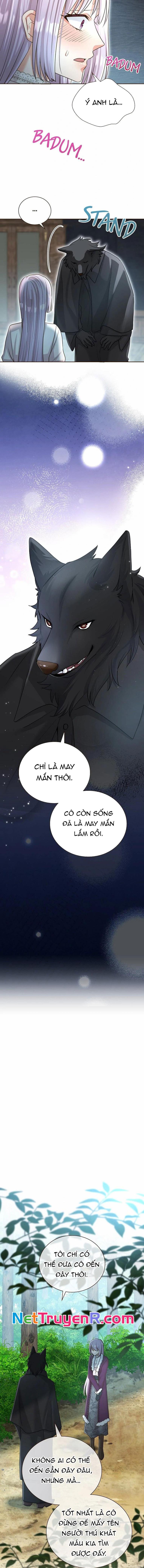 Cô Dâu Của Sói Trắng Chap 68 - Next Chap 69
