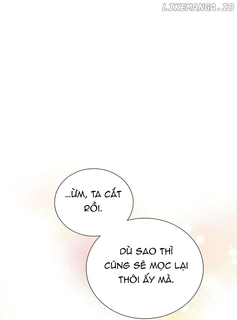 Cô Dâu Của Sói Trắng Chap 71 - Next Chap 72