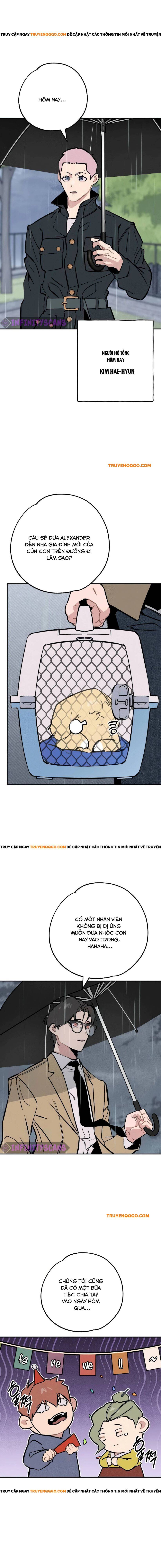 Con Rể Quỷ Quyệt Chap 28 - Next Chap 29