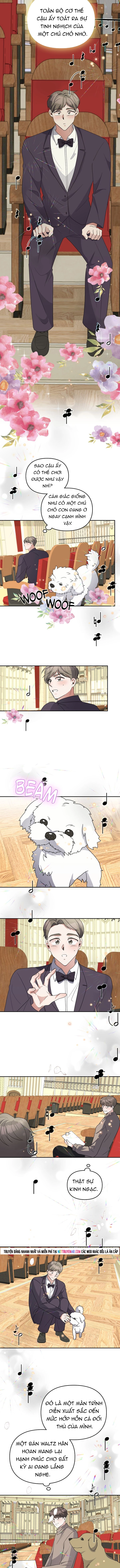 Cuộc Đời Của Thiên Tài Piano Chap 51 - Next Chap 52