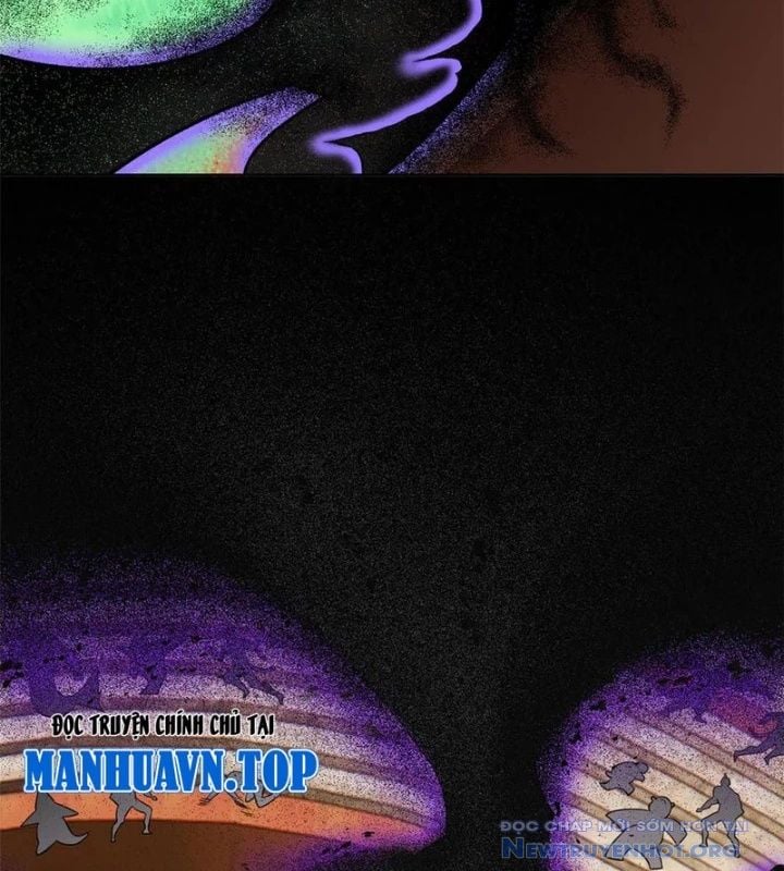 Cường Giả Đến Từ Trại Tâm Thần Chap 347 - Next Chap 348