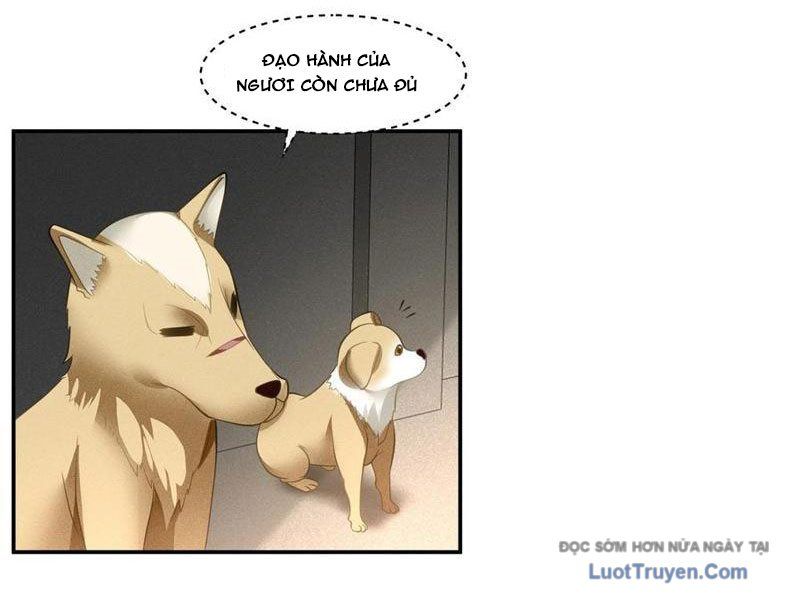 Cựu Nhật Chi Triện Chap 14 - Next Chap 15