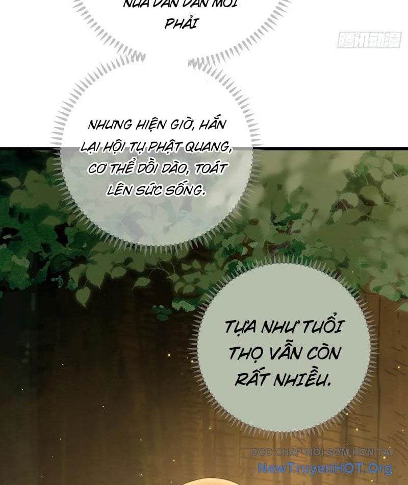 Đại Thừa Kỳ Mới Có Nghịch Tập Hệ Thống Chap 69 - Next Chap 70