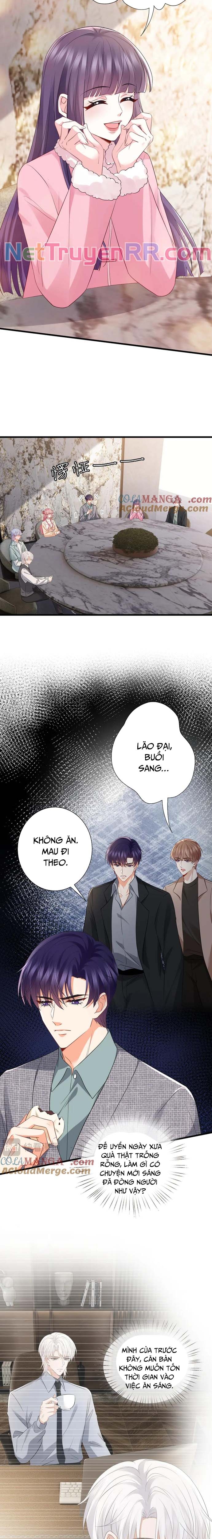 Danh Môn Chí Ái Chap 530 - Next Chap 531