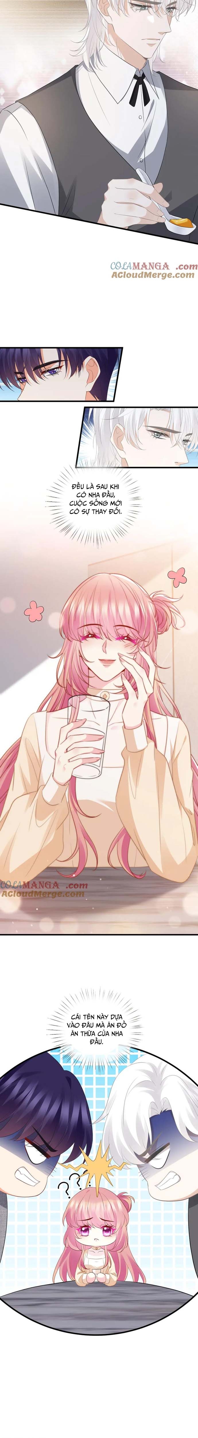 Danh Môn Chí Ái Chap 530 - Next Chap 531