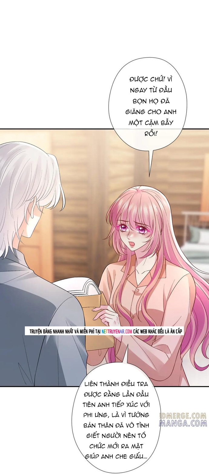 Danh Môn Chí Ái Chap 538 - Next Chap 539