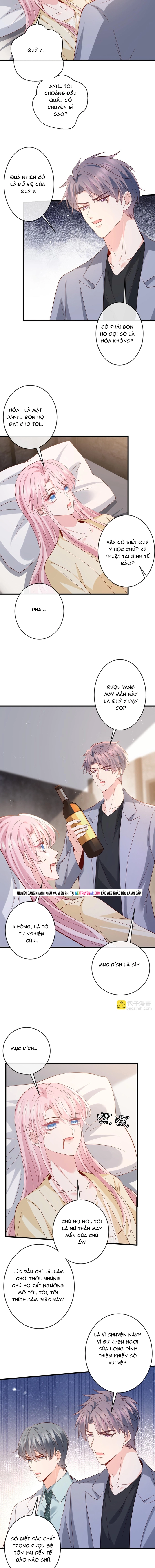 Danh Môn Chí Ái Chap 540 - Next Chap 541