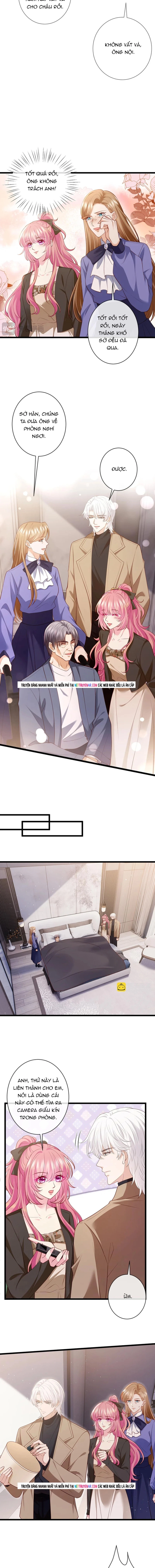 Danh Môn Chí Ái Chap 546 - Next Chap 547