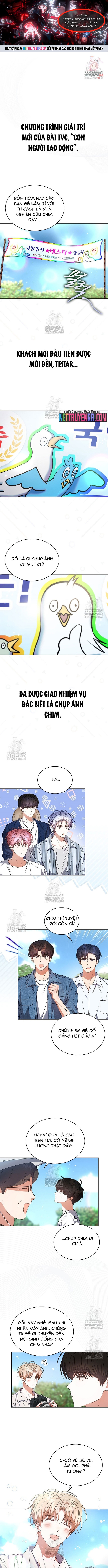 Debut Or Die Chap 80 - Next Chap 81