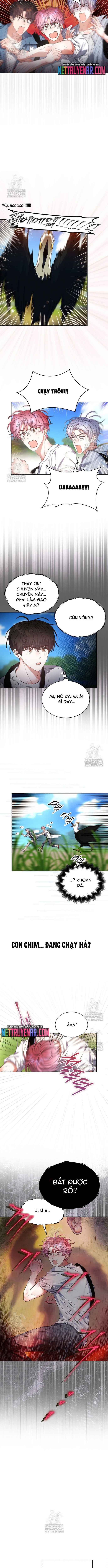 Debut Or Die Chap 80 - Next Chap 81