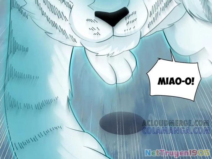 Đến Ma Quỷ Còn Sợ Tâm Thần Chap 144 - Next Chap 145